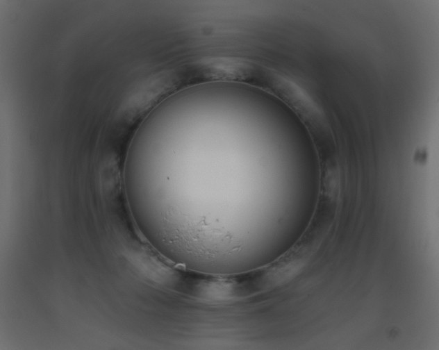 X0000093380318200710111501