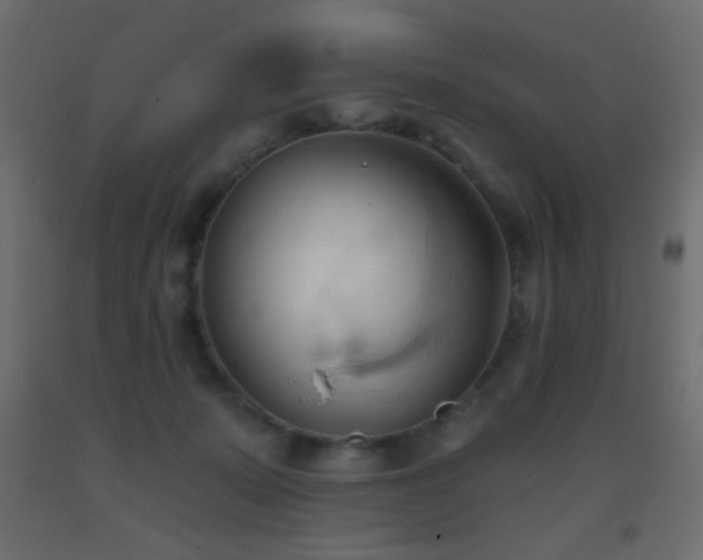 X0000093380319200710111501