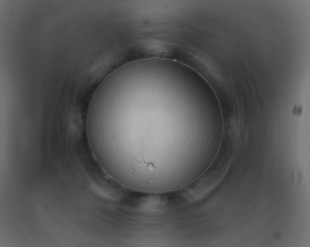 X0000093380320200710111501
