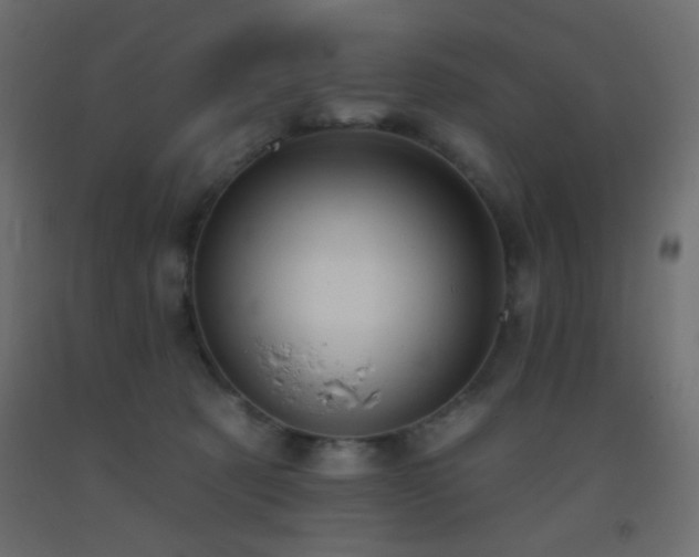 X0000093380321200710111501