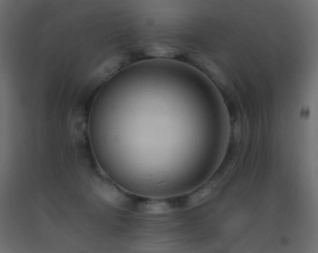 X0000093380322200710111501