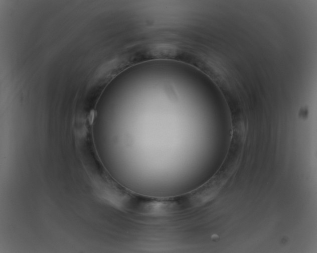 X0000093380323200710111501