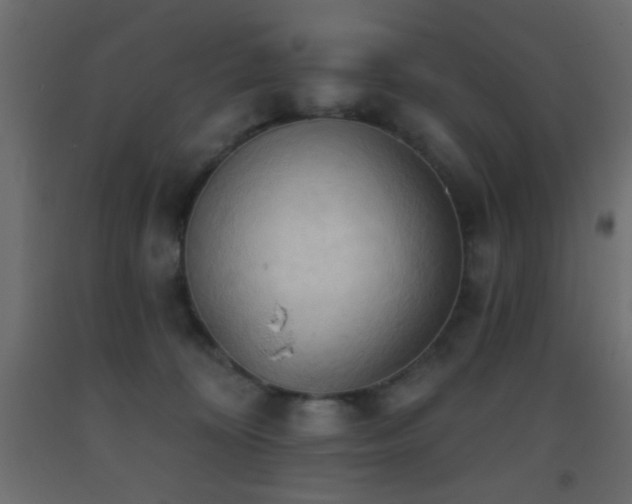 X0000093380324200710111501
