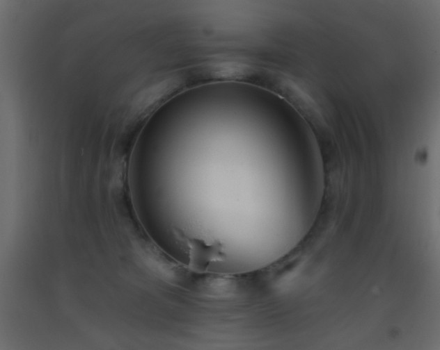 X0000093380325200710111501