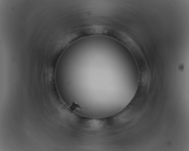 X0000093380326200710111501