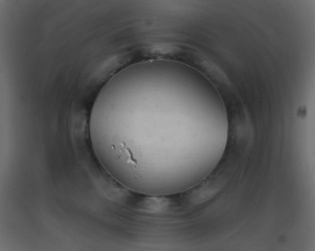 X0000093380328200710111501