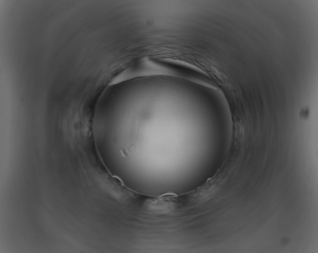X0000093380331200710111500