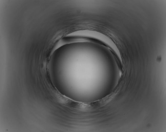 X0000093380333200710111500