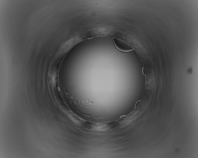X0000093380334200710111500