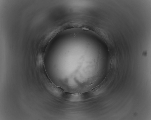 X0000093380335200710111500