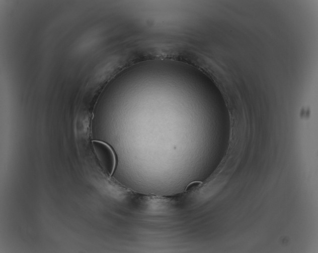 X0000093380336200710111500