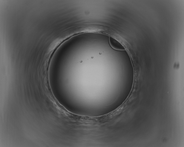 X0000093380337200710111500