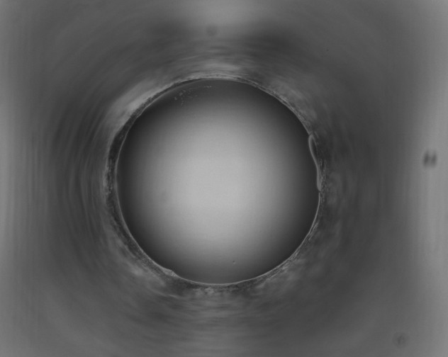 X0000093380338200710111500