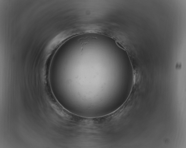 X0000093380339200710111500