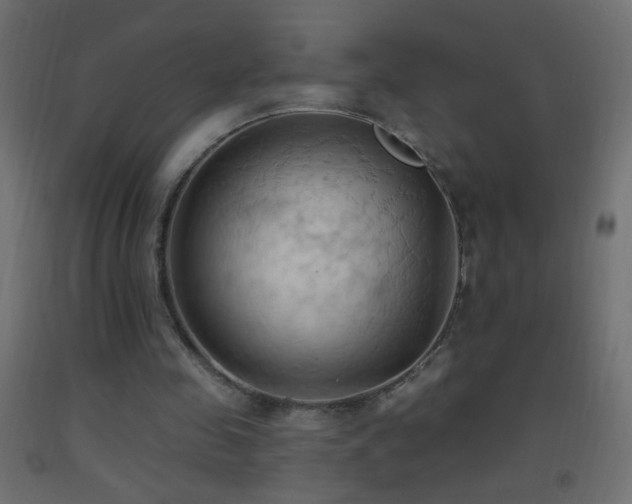 X0000093380341200710111500