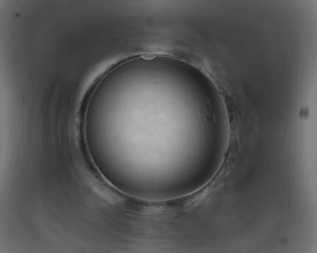 X0000093380342200710111500