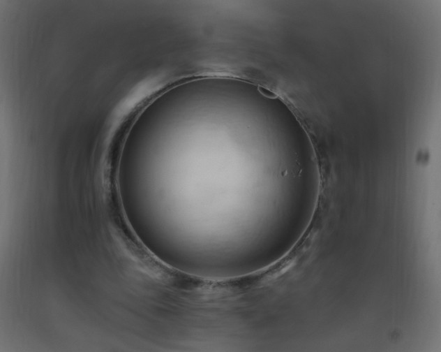 X0000093380343200710111500