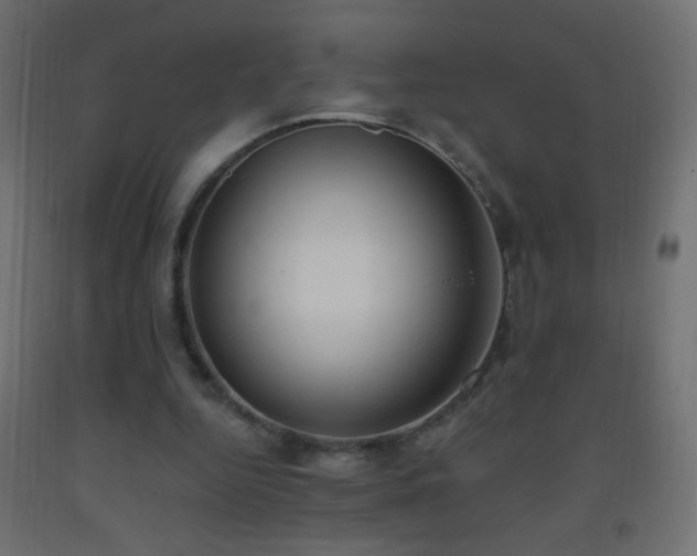 X0000093380344200710111500