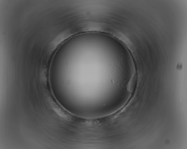 X0000093380345200710111500