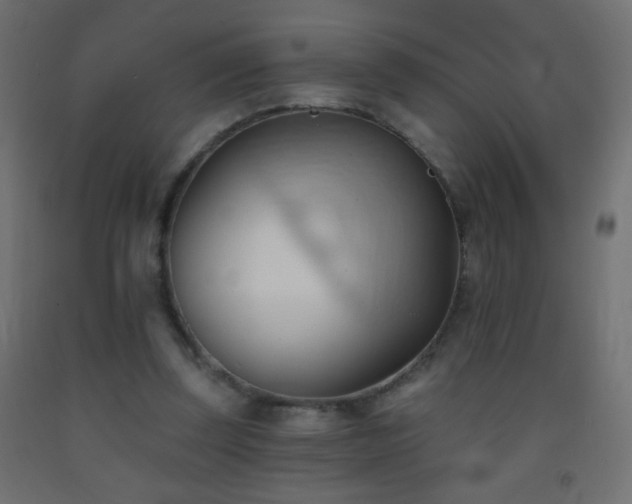X0000093380347200710111500