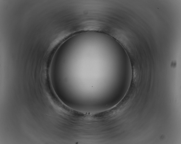 X0000093380348200710111500