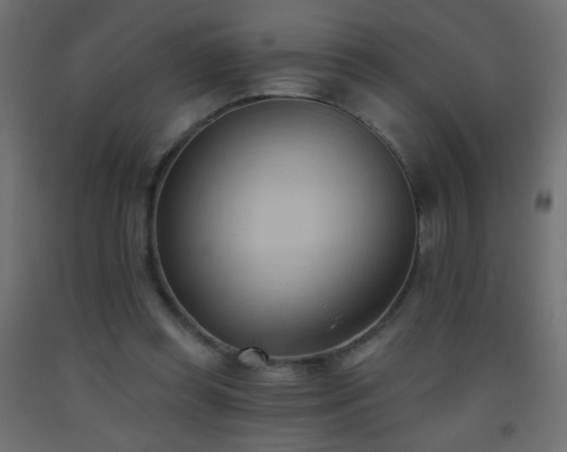X0000093380349200710111500