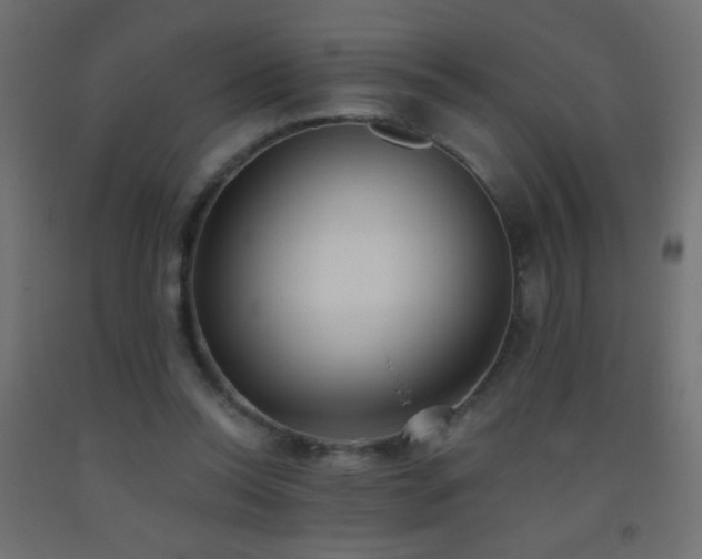 X0000093380350200710111500