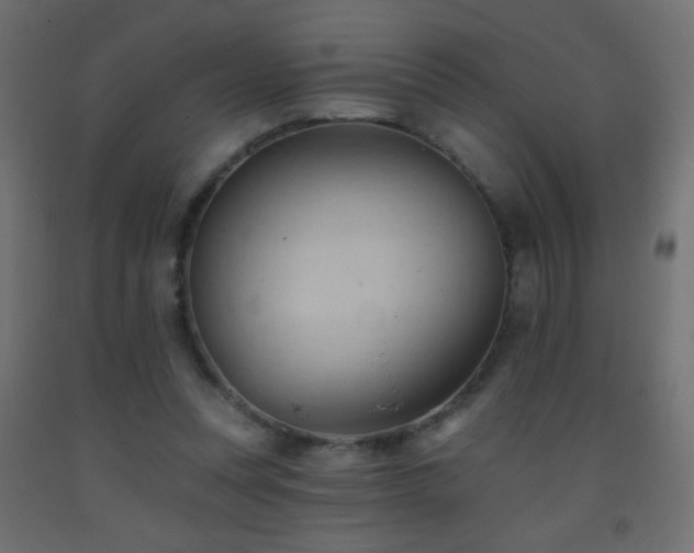 X0000093380351200710111500
