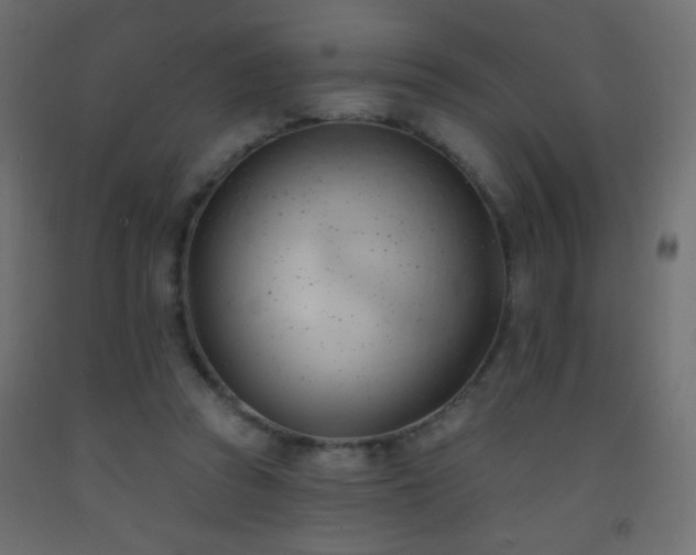 X0000093380353200710111500
