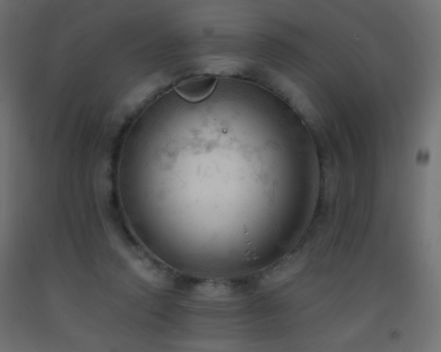 X0000093380354200710111500