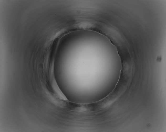 X0000093380356200710111500