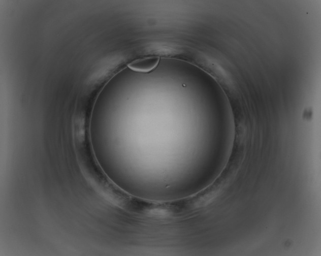 X0000093380358200710111500