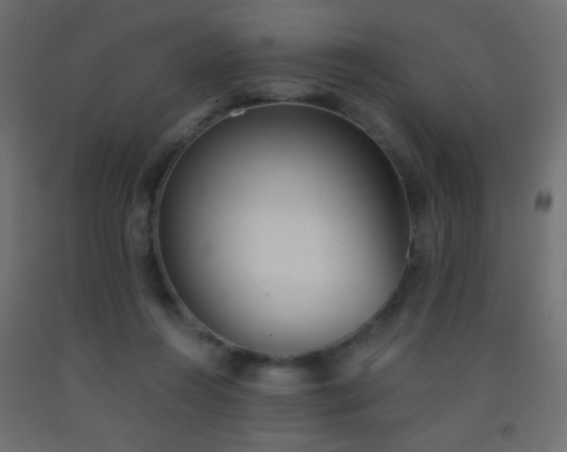 X0000093380360200710111500