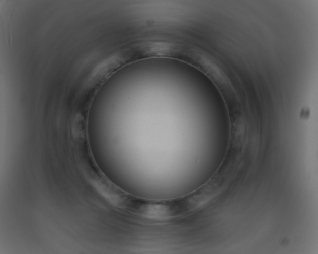X0000093380361200710111500