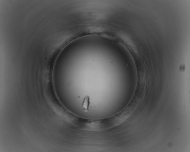 X0000093380362200710111500