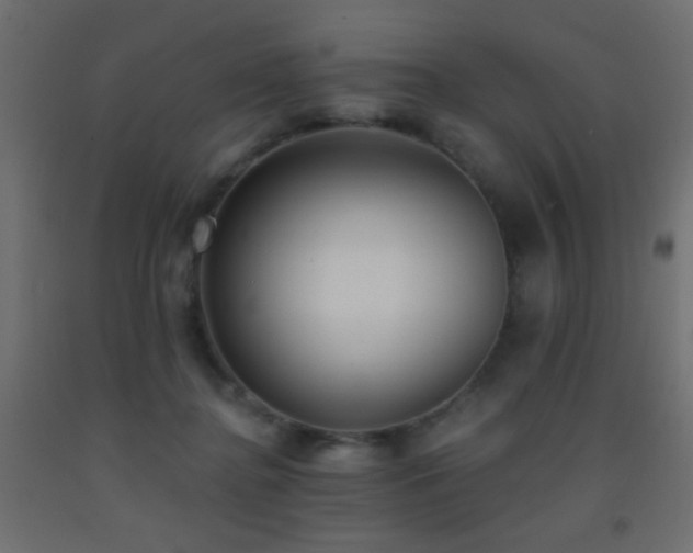 X0000093380364200710111500