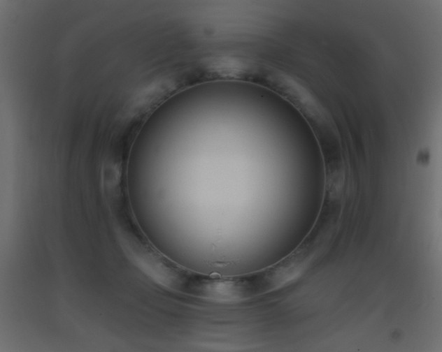 X0000093380365200710111500