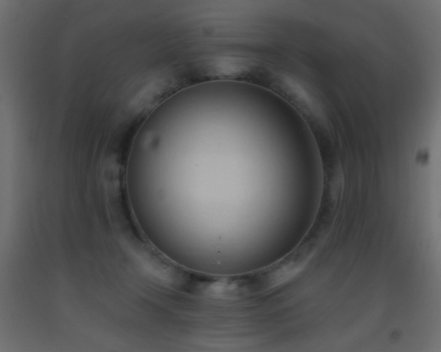 X0000093380366200710111500