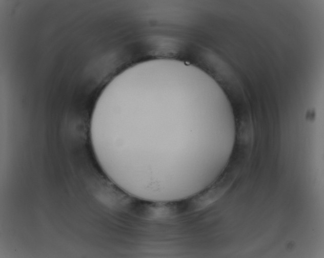 X0000093380370200710111500