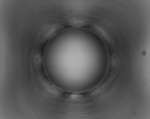 X0000093380371200710111500