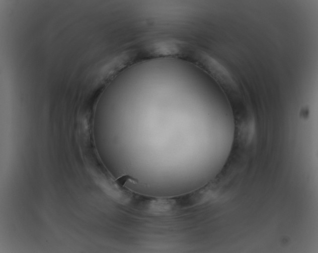 X0000093380373200710111500