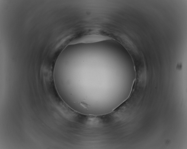 X0000093380376200710111500