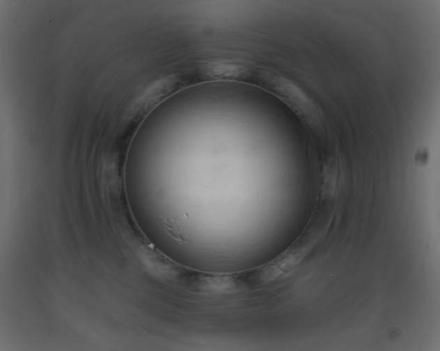 X0000093380377200710111500