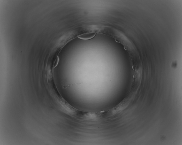 X0000093380381200710111500