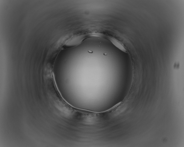 X0000093380384200710111500