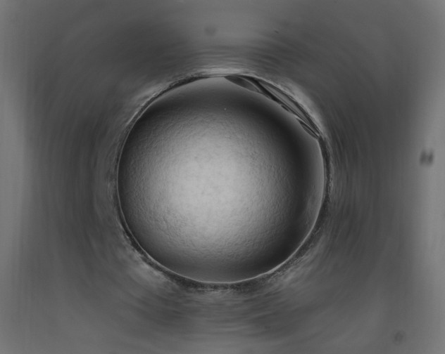 X0000093380385200710111500