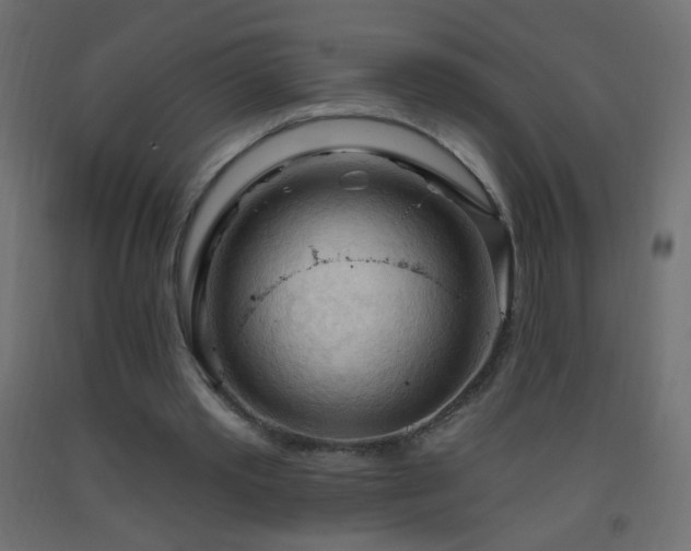 X0000093380389200710111500