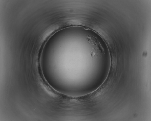 X0000093380390200710111500