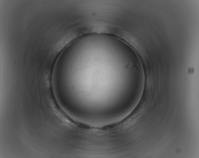 X0000093380393200710111500