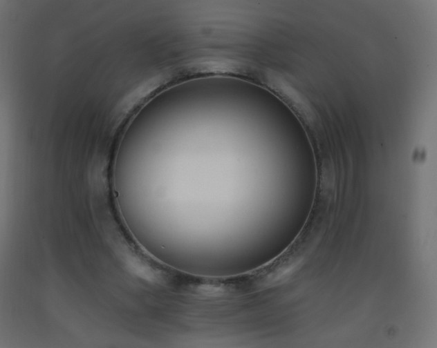 X0000093380394200710111500